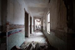 IMG_8624