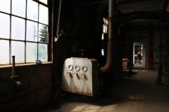 IMG_9781