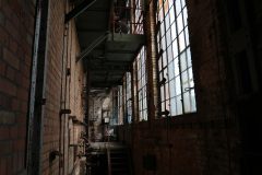 IMG_9783