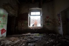 IMG_9131