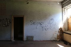 IMG_8217