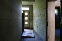 IMG_8218