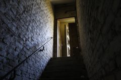 IMG_8227