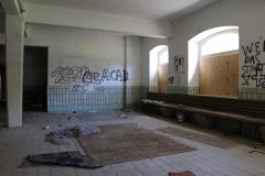 IMG_8232