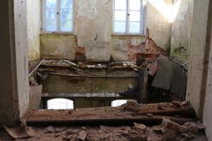 IMG_8251