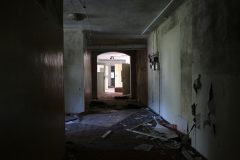 IMG_8260