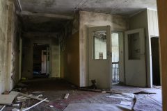 IMG_8267
