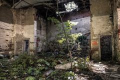 Saal Tanzhalle Barberina Chemnitz Exploration Urbex Lost Place