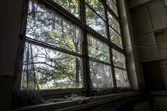 IMG_4037