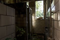 IMG_4066