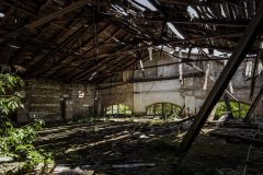 IMG_4081
