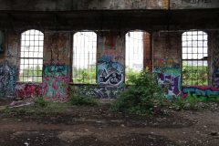 IMG_7589