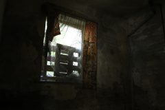 IMG_9842