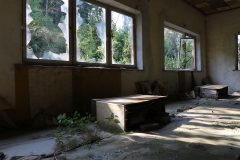IMG_9850