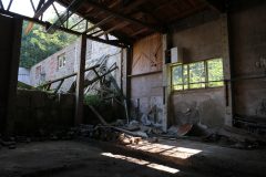 IMG_9868