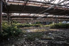 Aluminium Fabrik Breukelen Exploration Urbex Lost Place