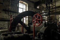 IMG_5503