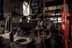 IMG_5511