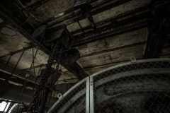 IMG_5519