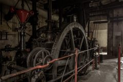 IMG_5551