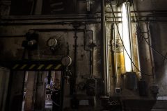 IMG_5565