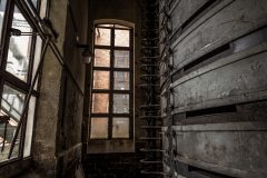 IMG_5570