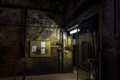 IMG_5590