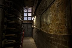 IMG_5593