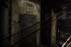 IMG_5597