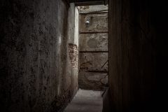 IMG_5613