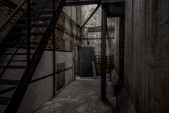 IMG_5615