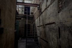 IMG_5627