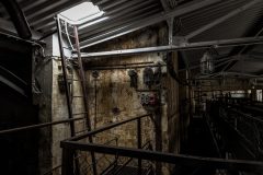 IMG_5664