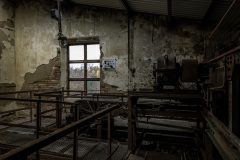 IMG_5685