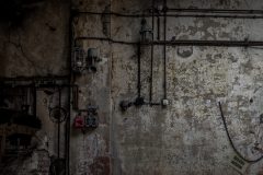IMG_5688