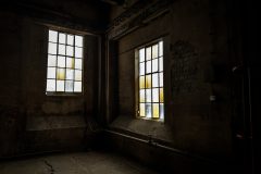IMG_5696