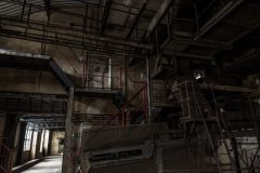 IMG_5699