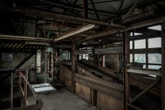 IMG_5720