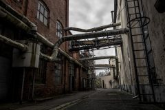 IMG_5736