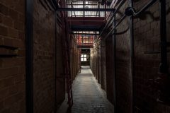 IMG_5826