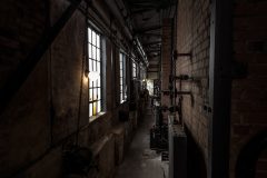 IMG_5827