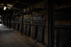 IMG_5854