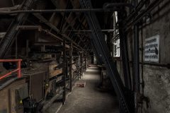IMG_5885