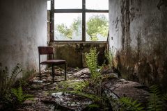 Ferienlager Buna-Werke Friedrichsbrunn Eastern Exploration Urbex Lost Place