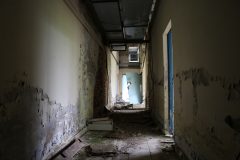 IMG_7437