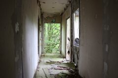 IMG_7475