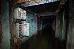 IMG_1098
