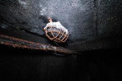 IMG_1158