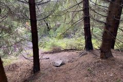 IMG_5662