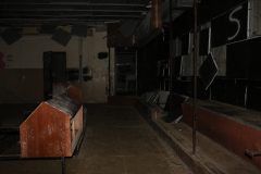 IMG_7196